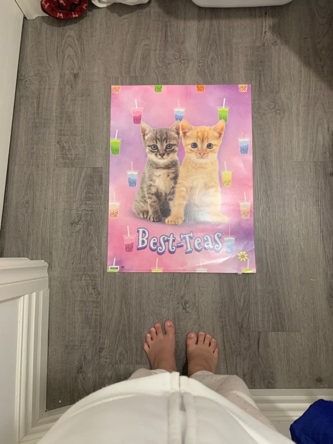 🥕🥕Besties poster🥕🥕 thumbnail