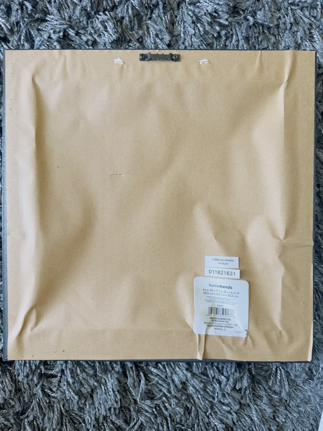 hometrends Giraffe in Tub Framed Art image indicator(2)