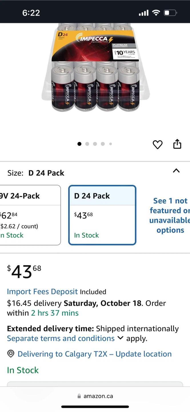 Panasonic Super Heavy Duty D Batteries bundle - photo 3