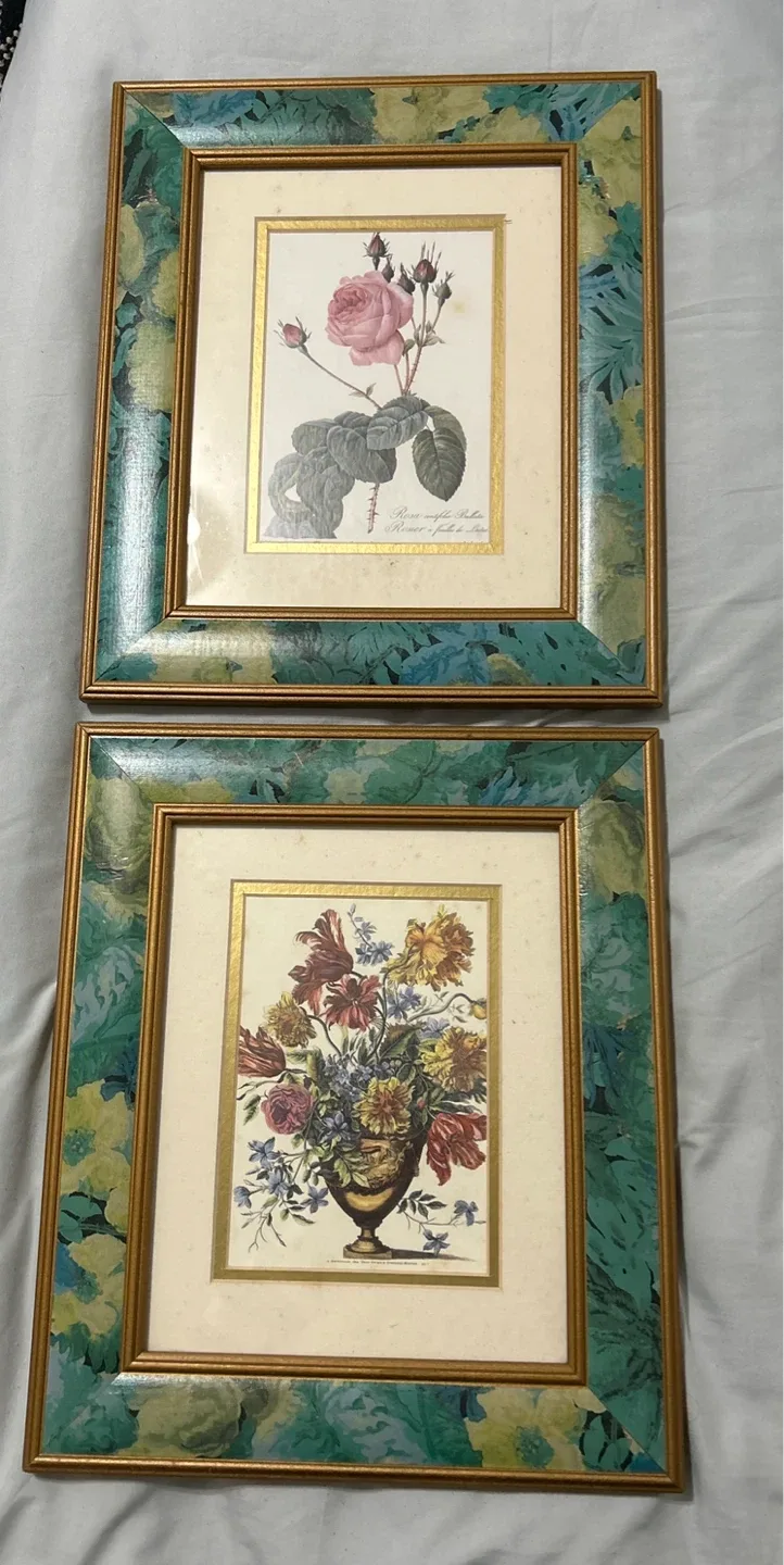 Set of 2 Framed Botanical Prints 11.5 x 13.5” 🥕 thumbnail