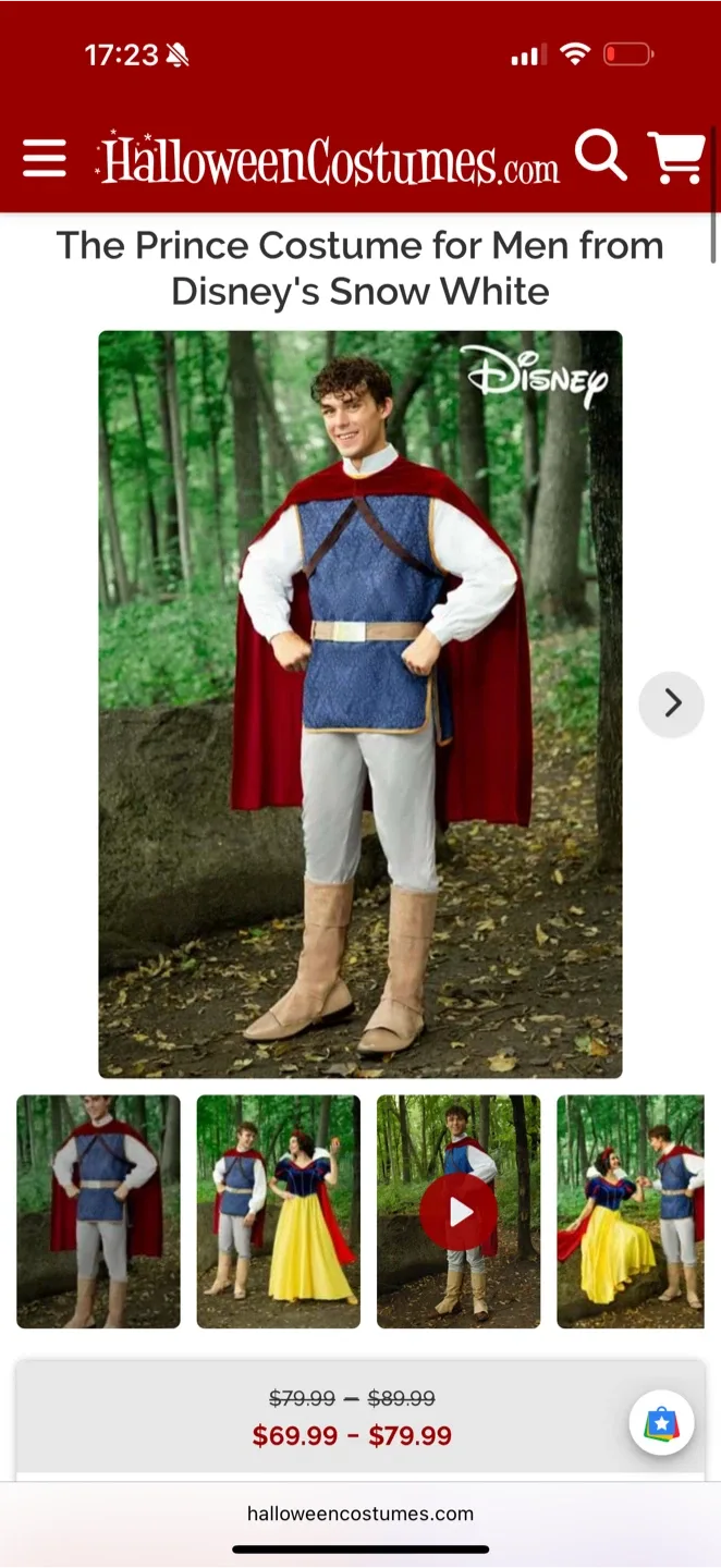 Disney Prince Costume for Men