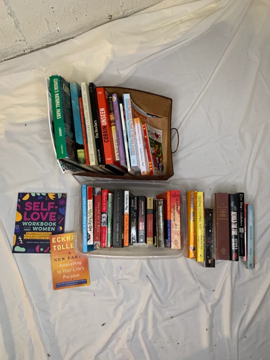 Mixed Lot of Books / fiction & non-fiction