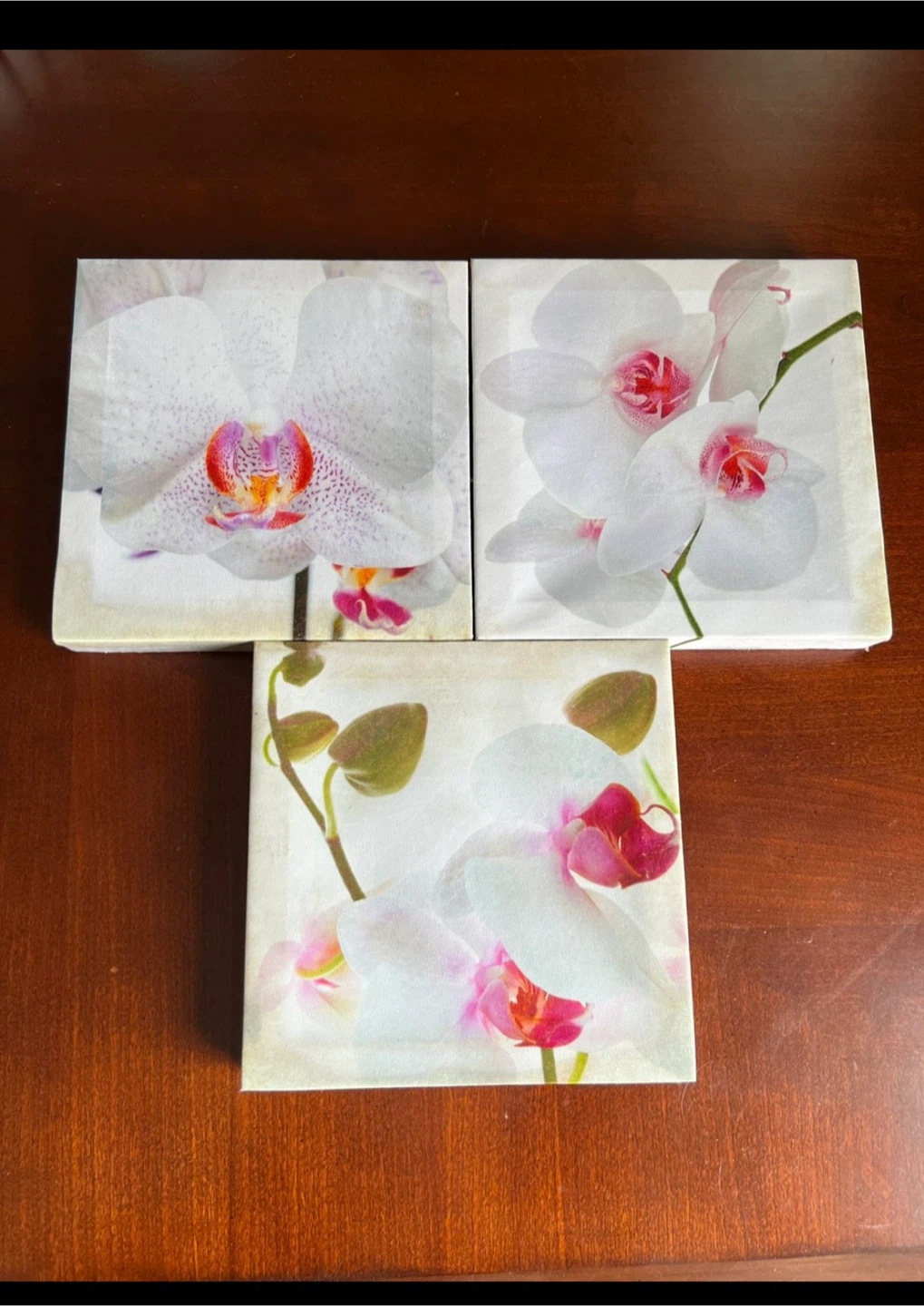 Orchid Floral Canvas Wall Art - Set of 3