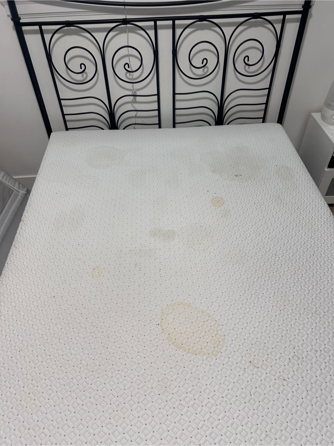 Free Queen Endy Mattress