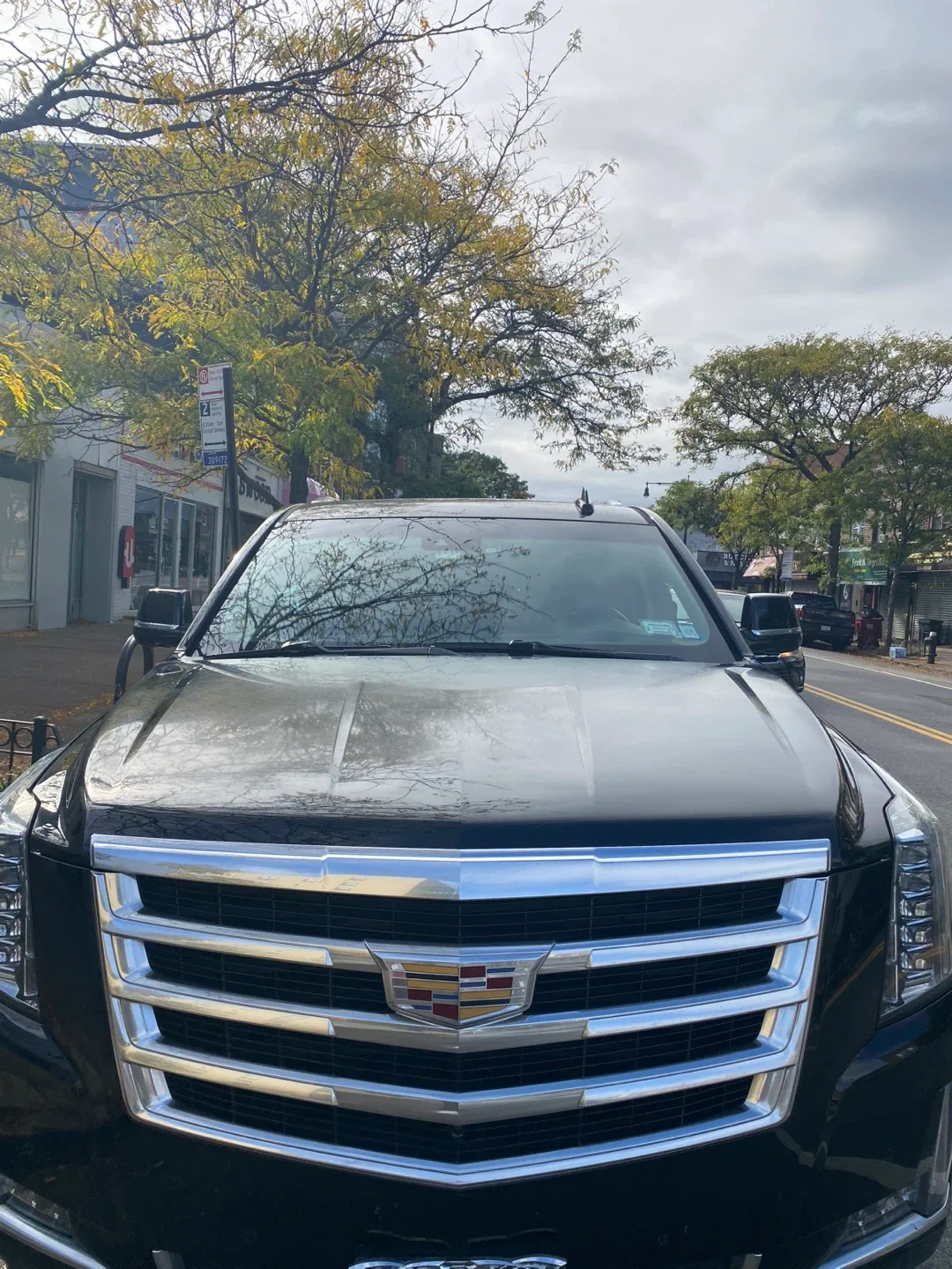 2015 Cadillac image indicator(4)