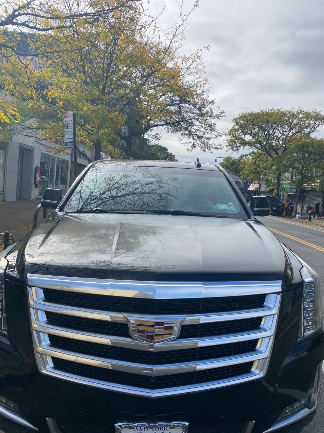 2015 Cadillac image indicator(5)