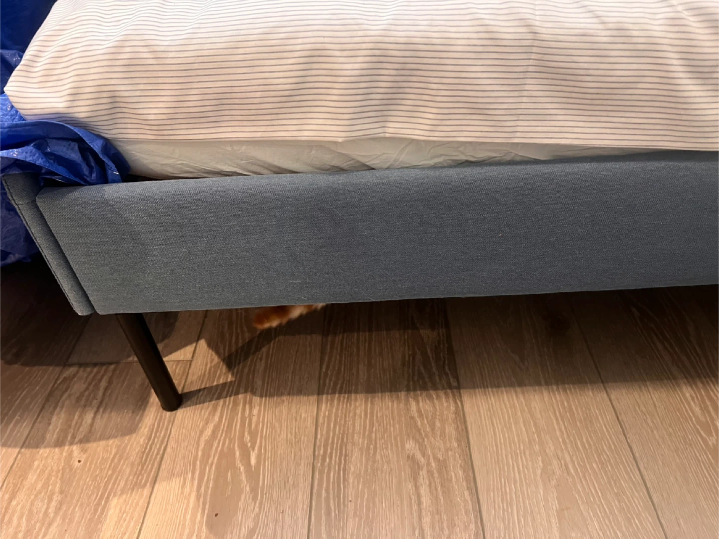 Blue IKEA Twin Day Bed Bed Frame - photo 5