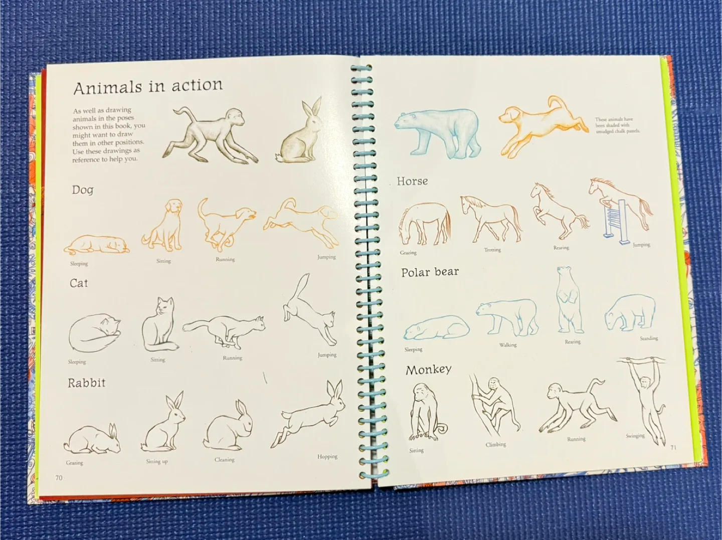 Usborne Art Ideas Big Book of Things to Draw image indicator(4)