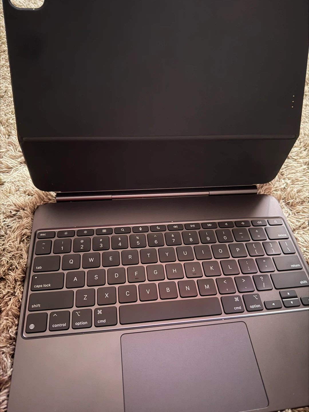 Apple m4 13 inch iPad Pro - photo 2