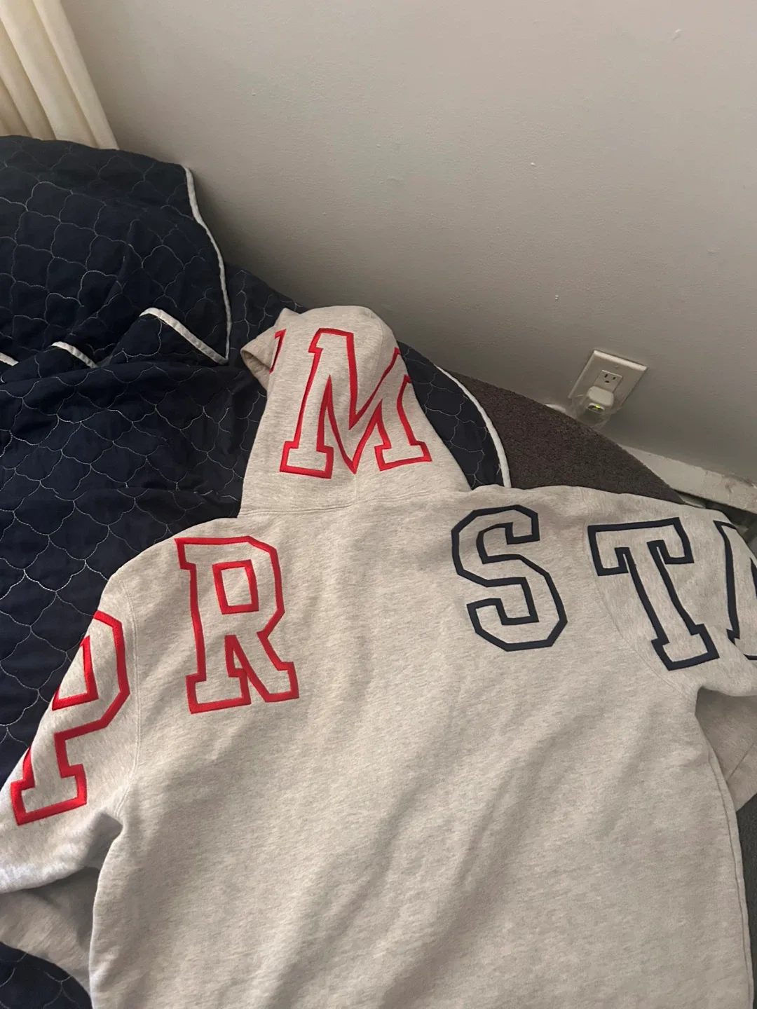 Supreme State Applique Hoodie image indicator(2)