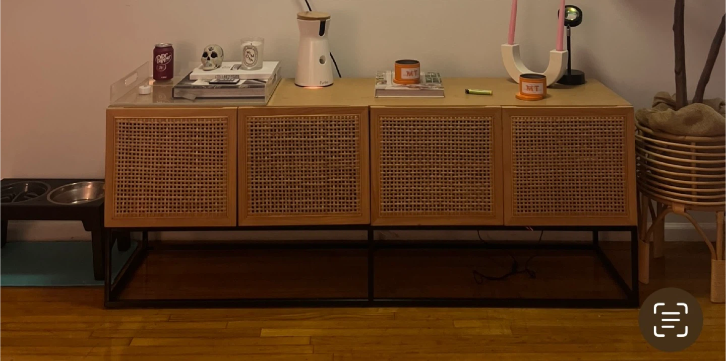 Rattan Door Media Console