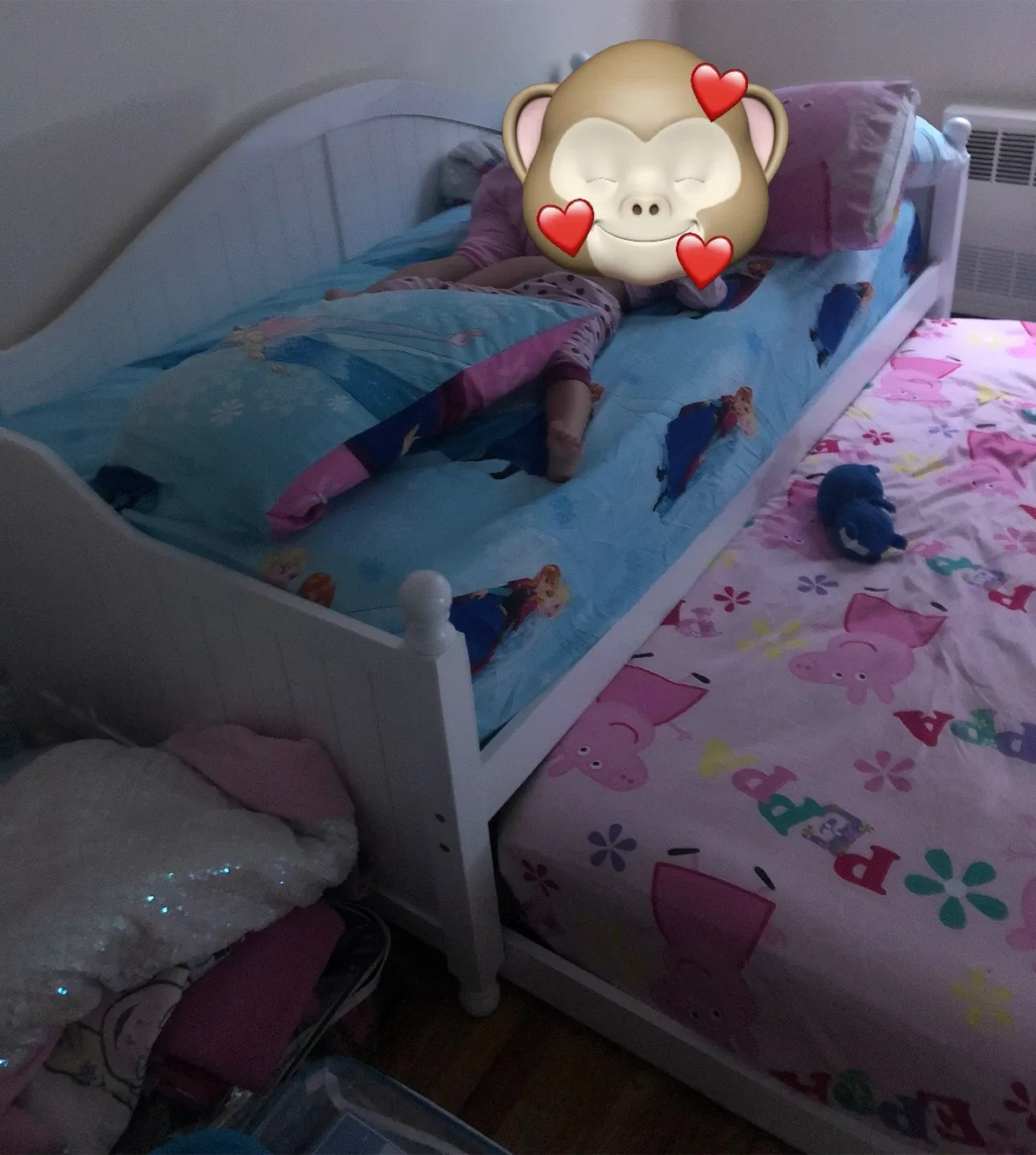 Bed image indicator(3)