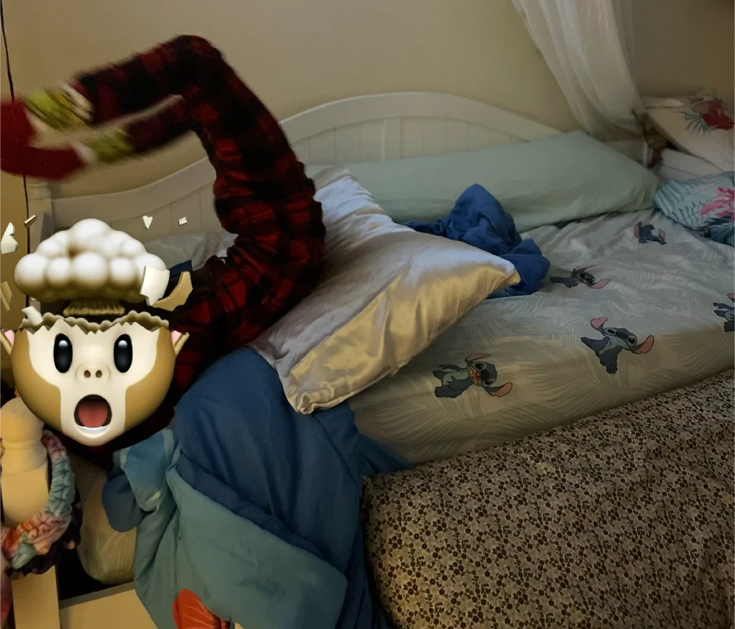 Bed image indicator(4)