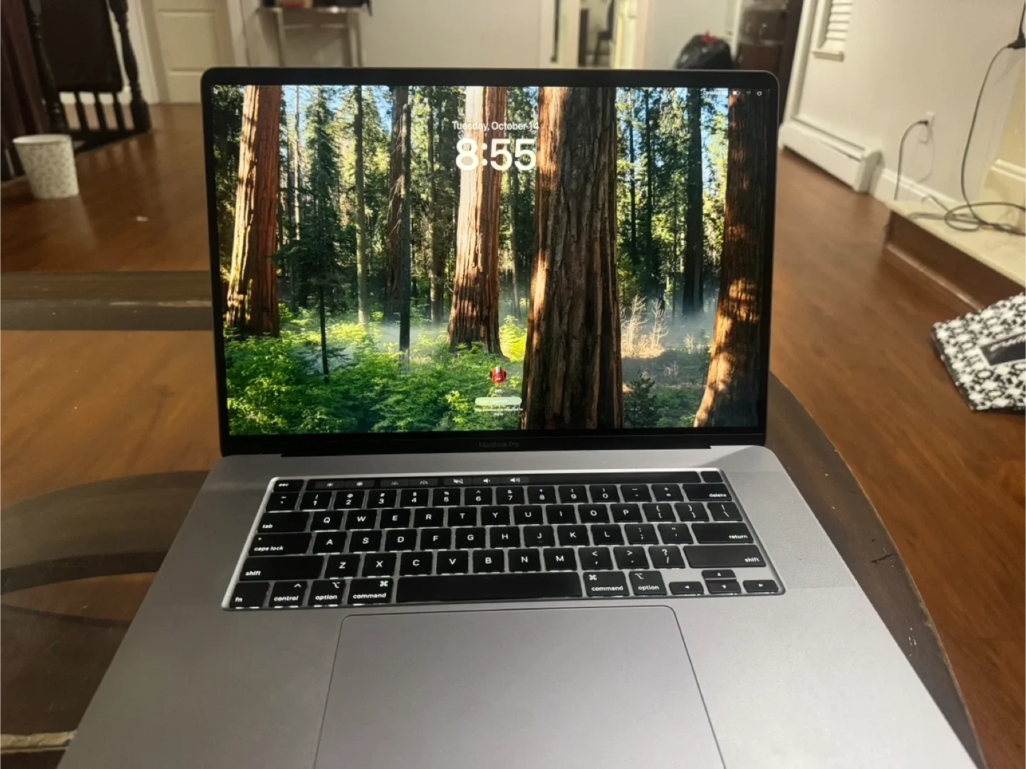 MacBook Pro 2019 image indicator(3)