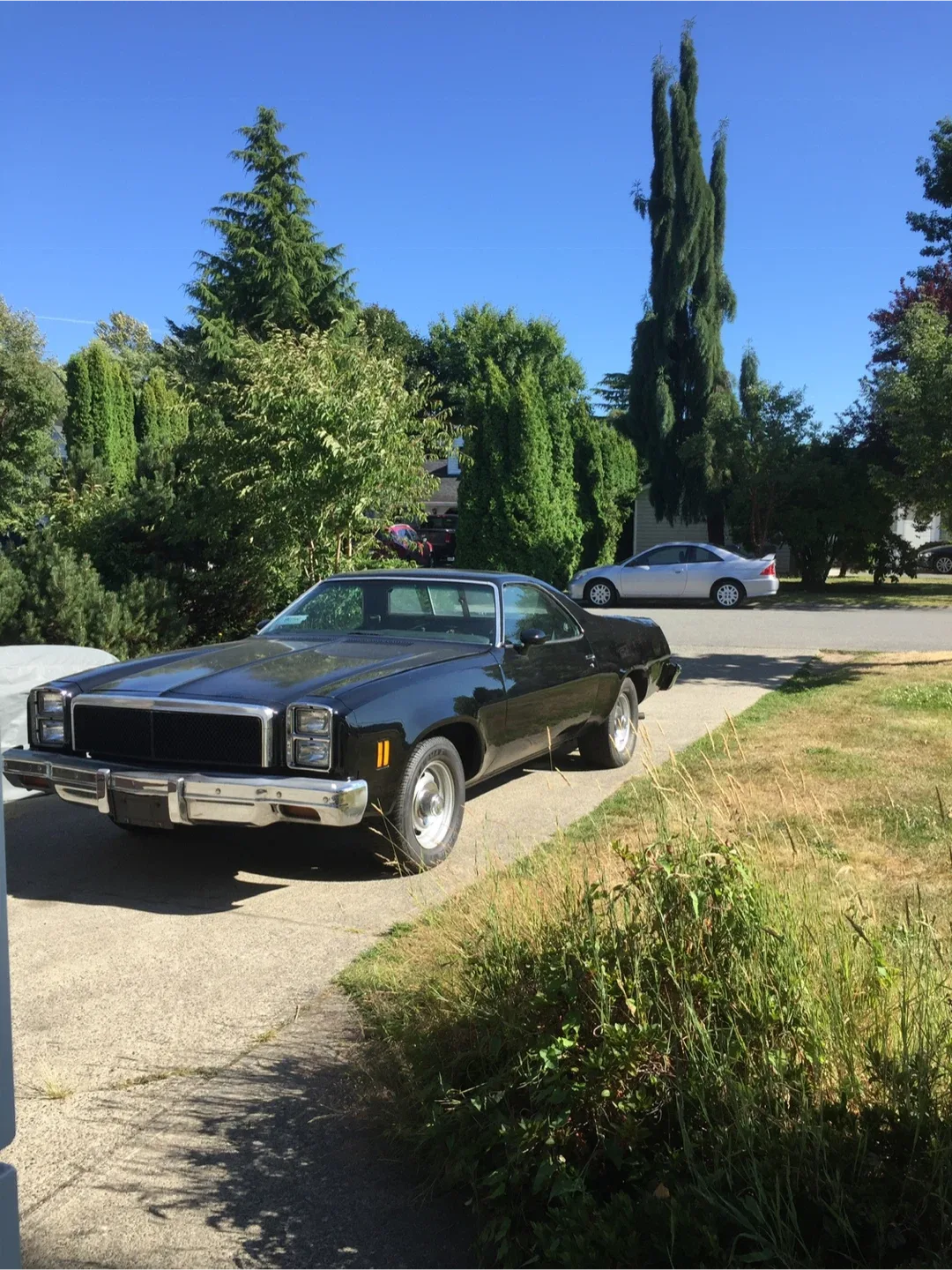 Chevrolet El Camino SS 1976 thumbnail