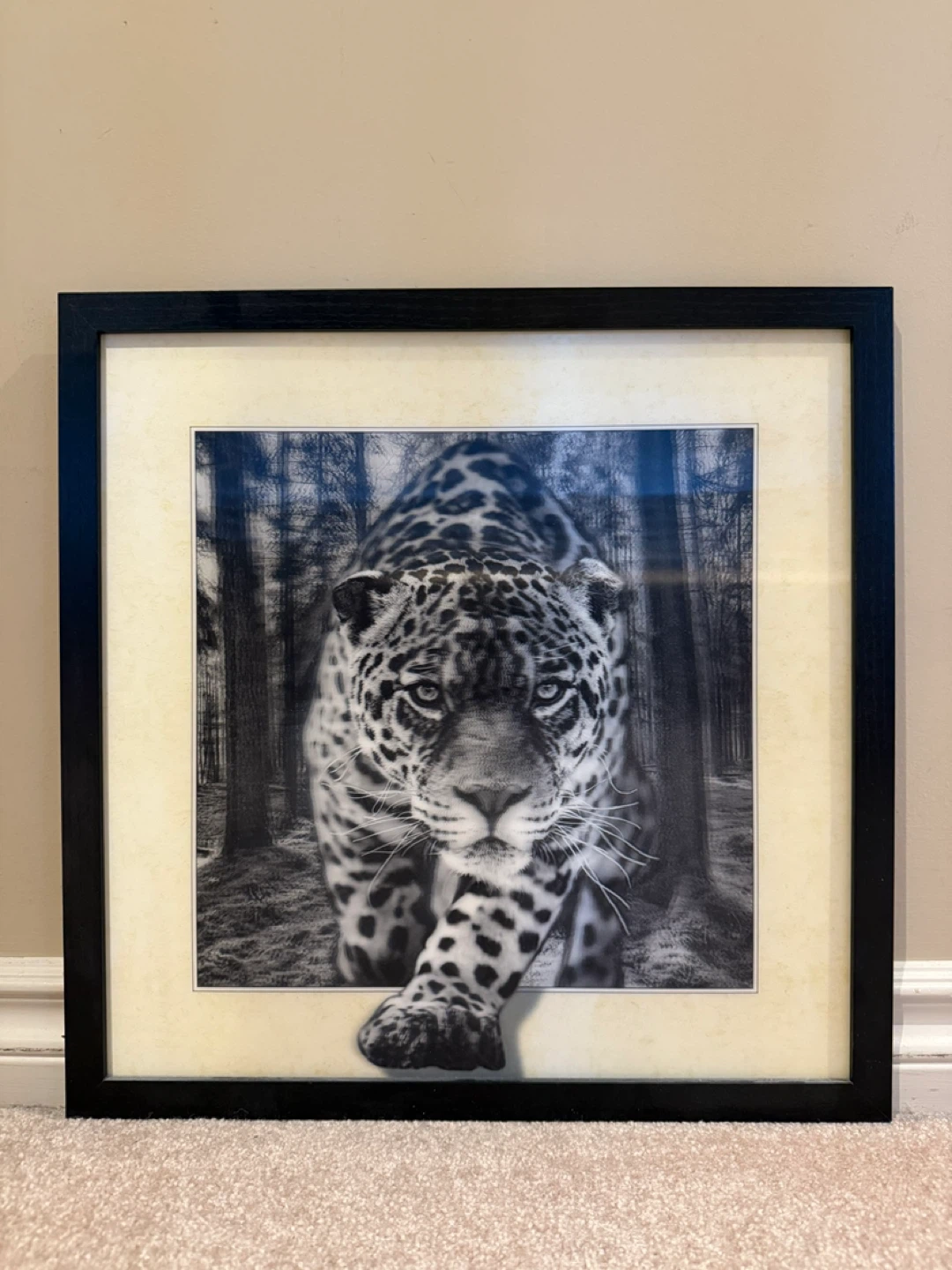 Tiger motion moving frame