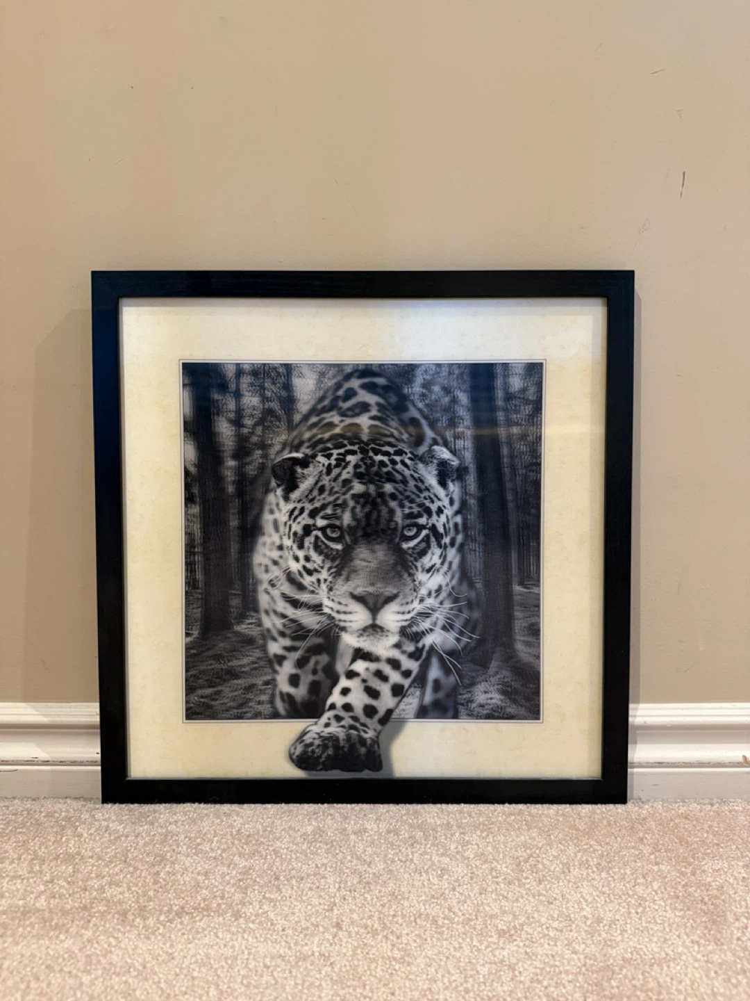 Tiger motion moving frame - photo 4