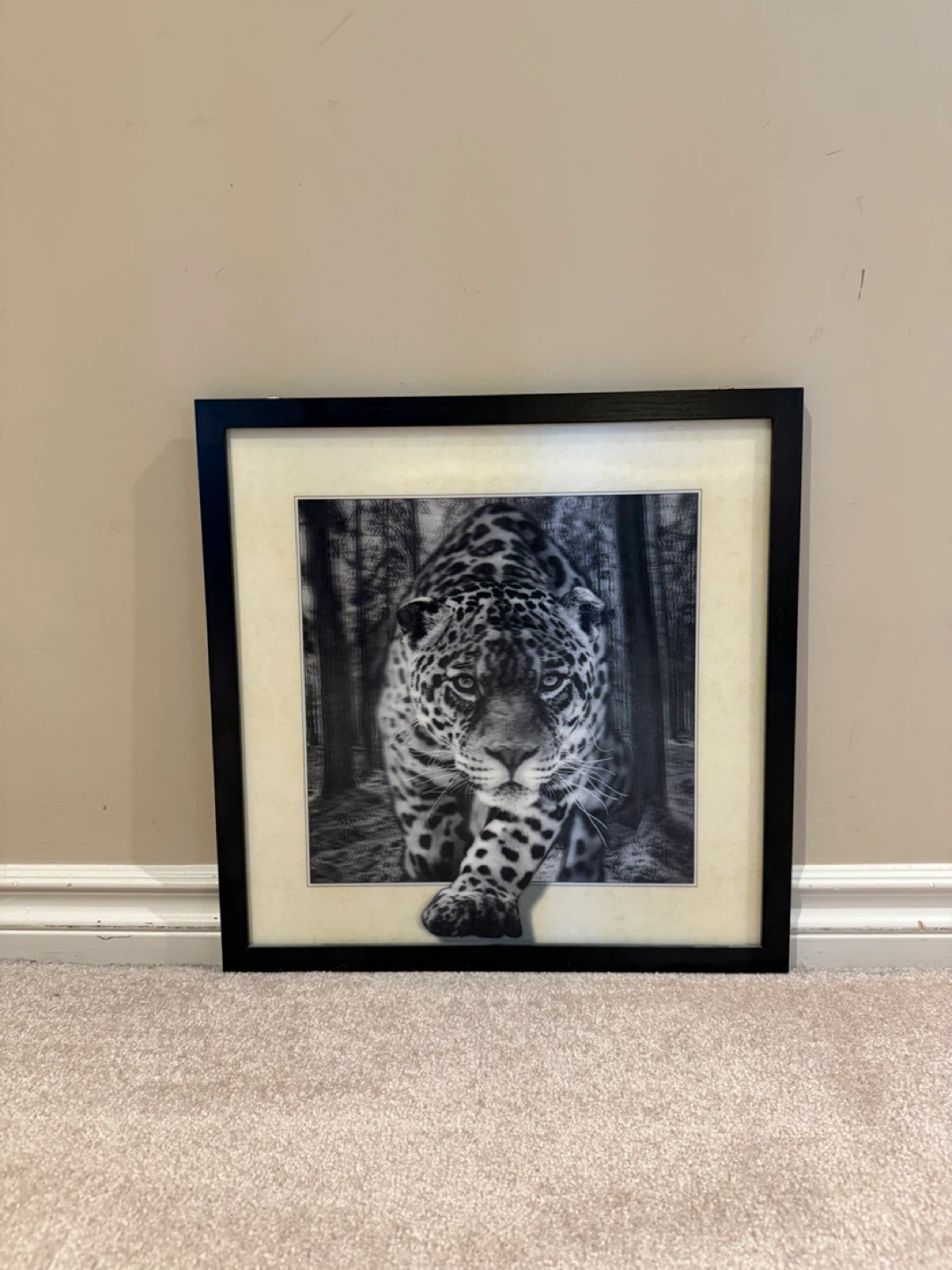 Tiger motion moving frame - photo 3