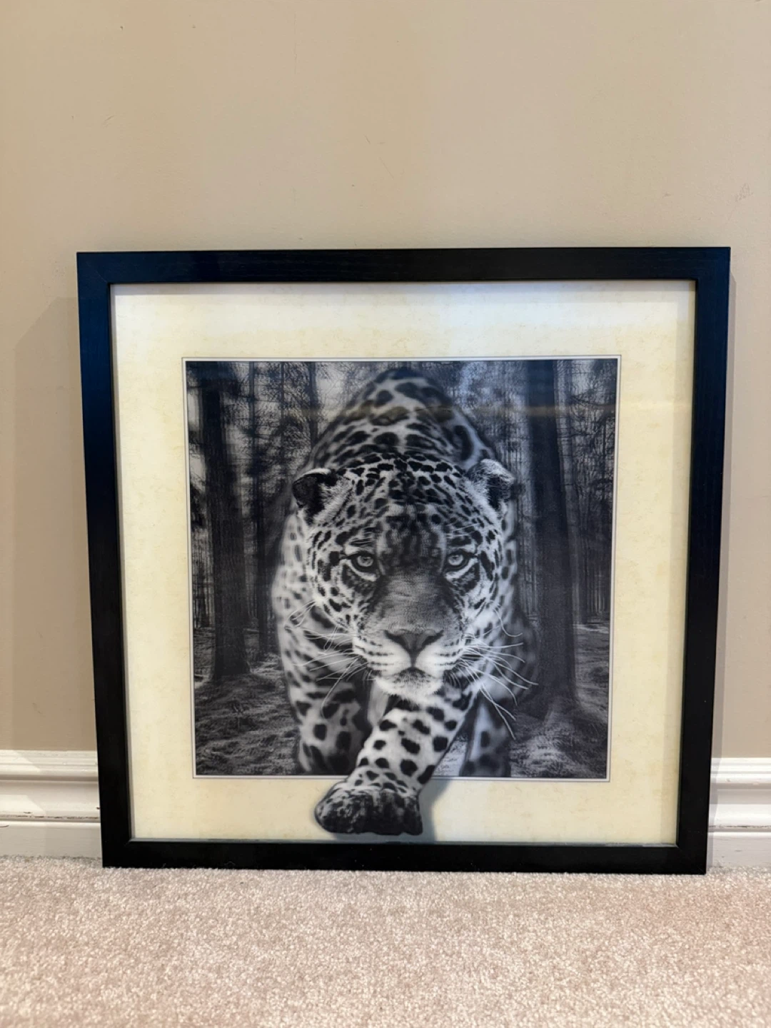 Tiger motion moving frame - photo 2