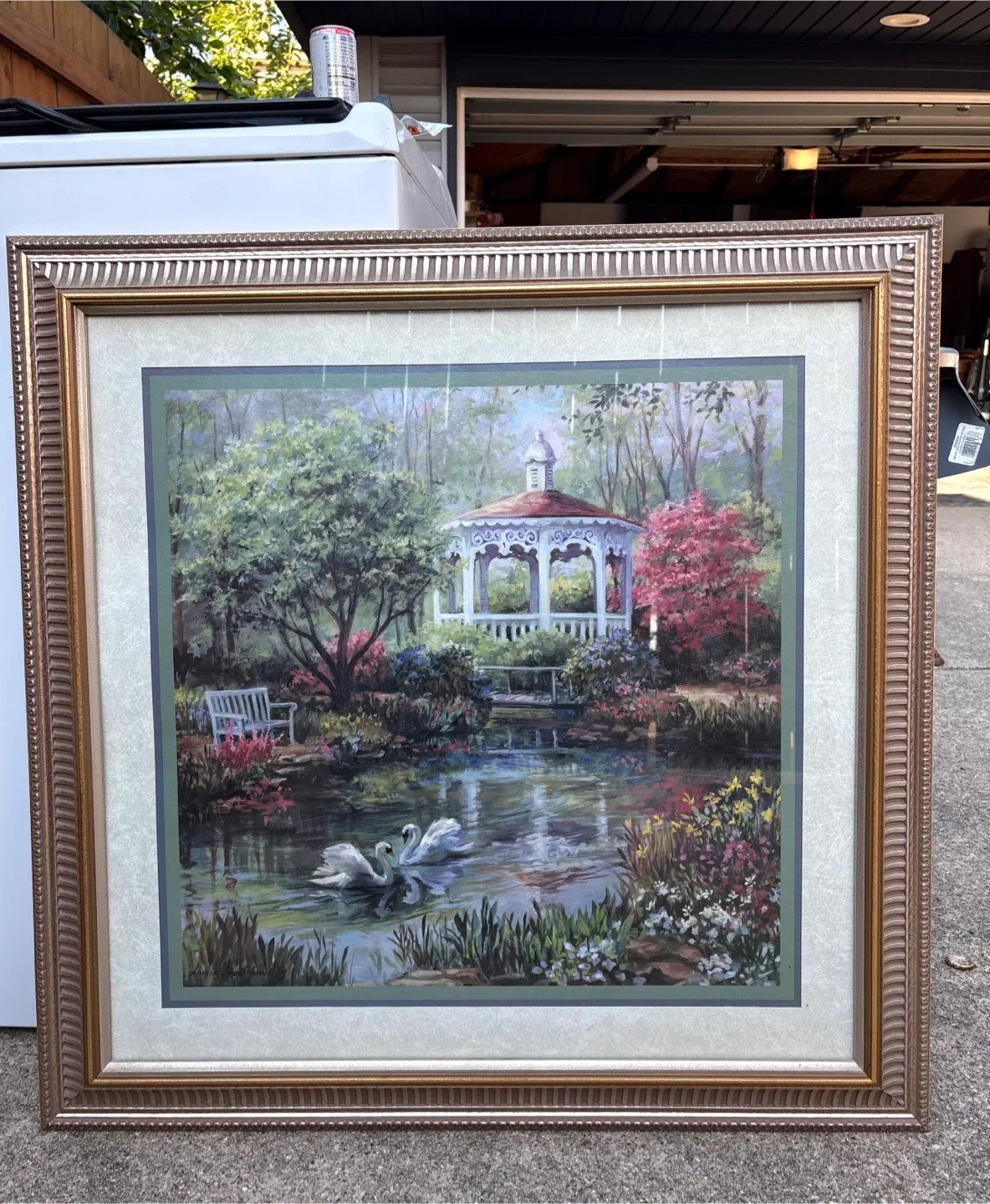 Framed Swan Pond Print