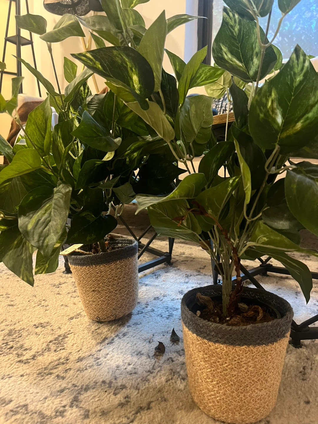 Potted Artificial Plant