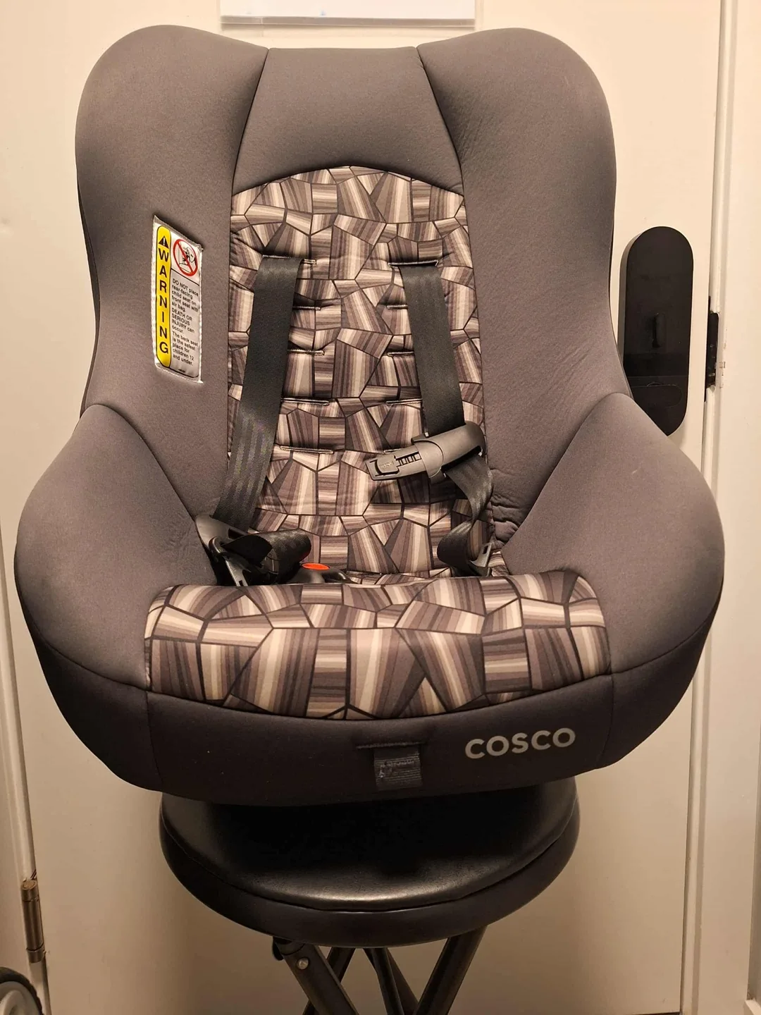 Cosco Car Seat
