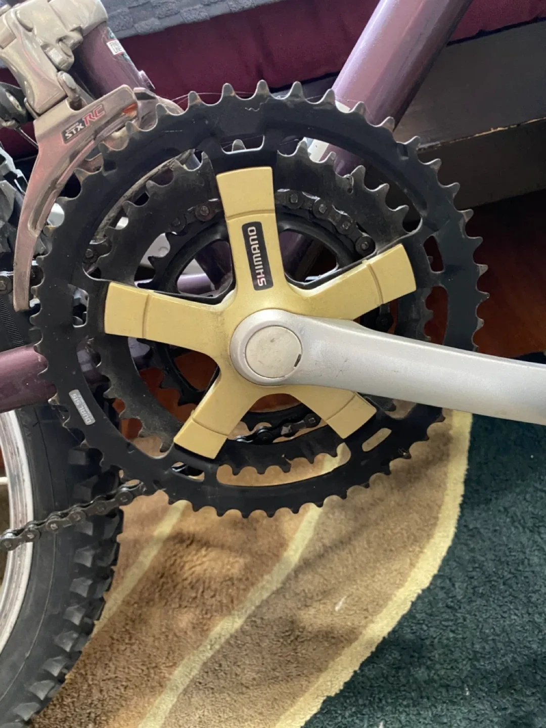 Vintage Bianchi Forte Mountain Bike image indicator(3)