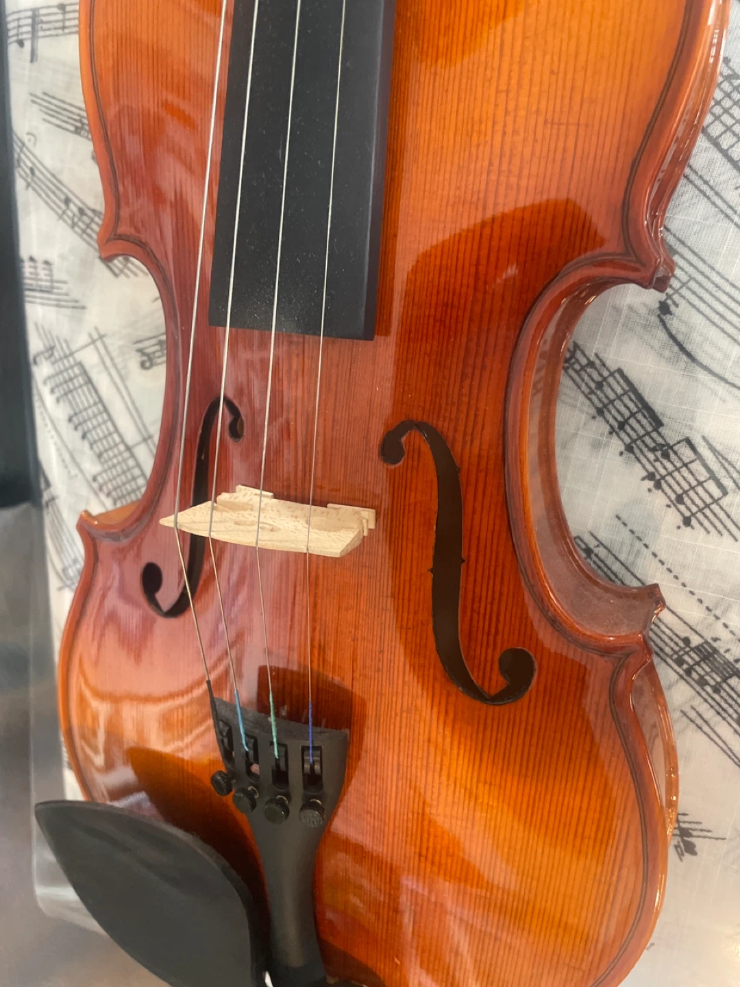 Violin