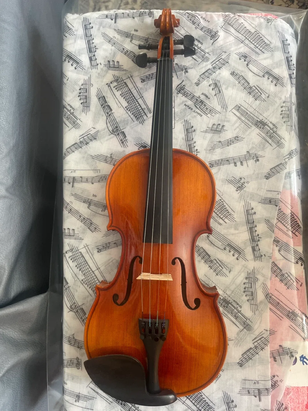 Violin image indicator(2)