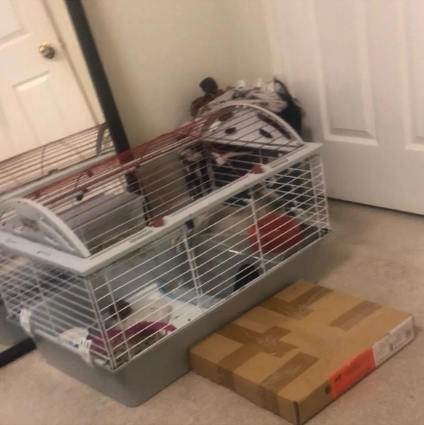 Living World Deluxe Habitat Rabbit Cage image indicator(2)