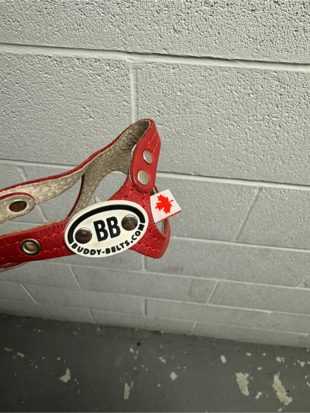 Handmade Leather Dog Collar – BB Brand (Made in Canada) - Small - photo 3