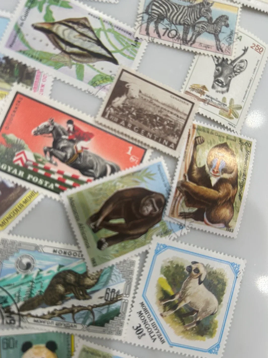 Vintage stamp collection from different years and countries image indicator(4)