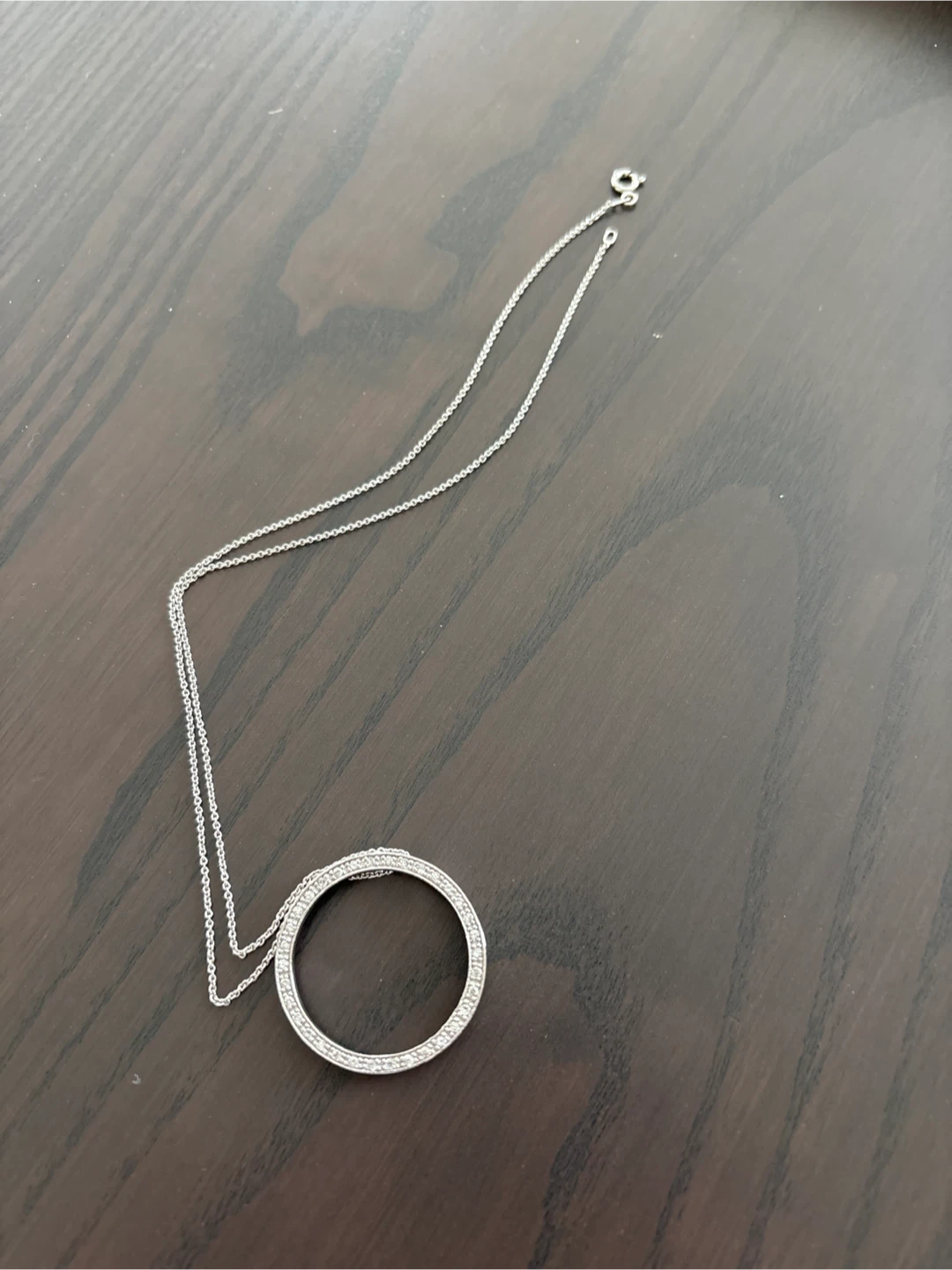 Silver Circle Pendant Necklace