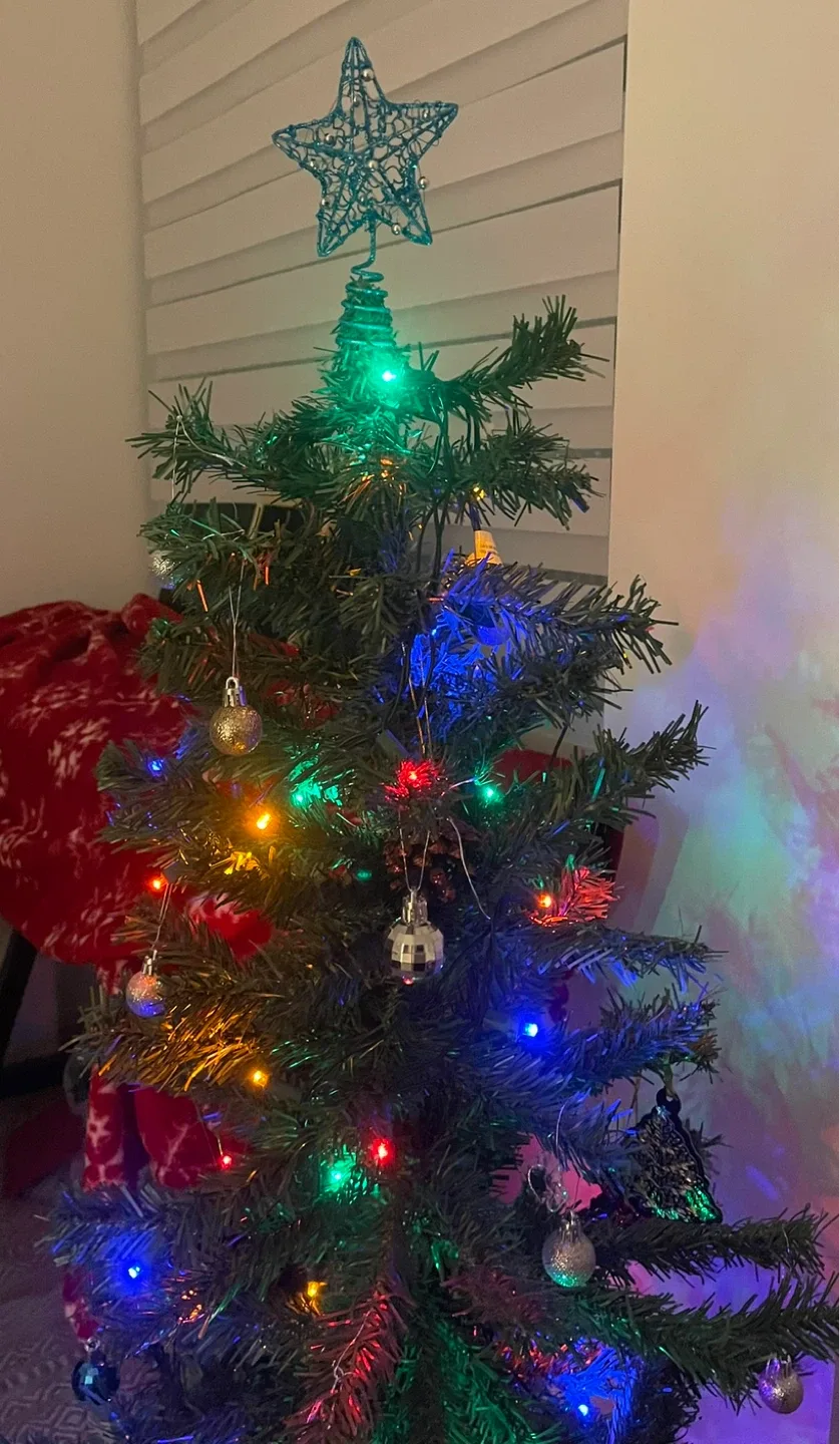 4ft Unlit Destin Fir Christmas Tree thumbnail