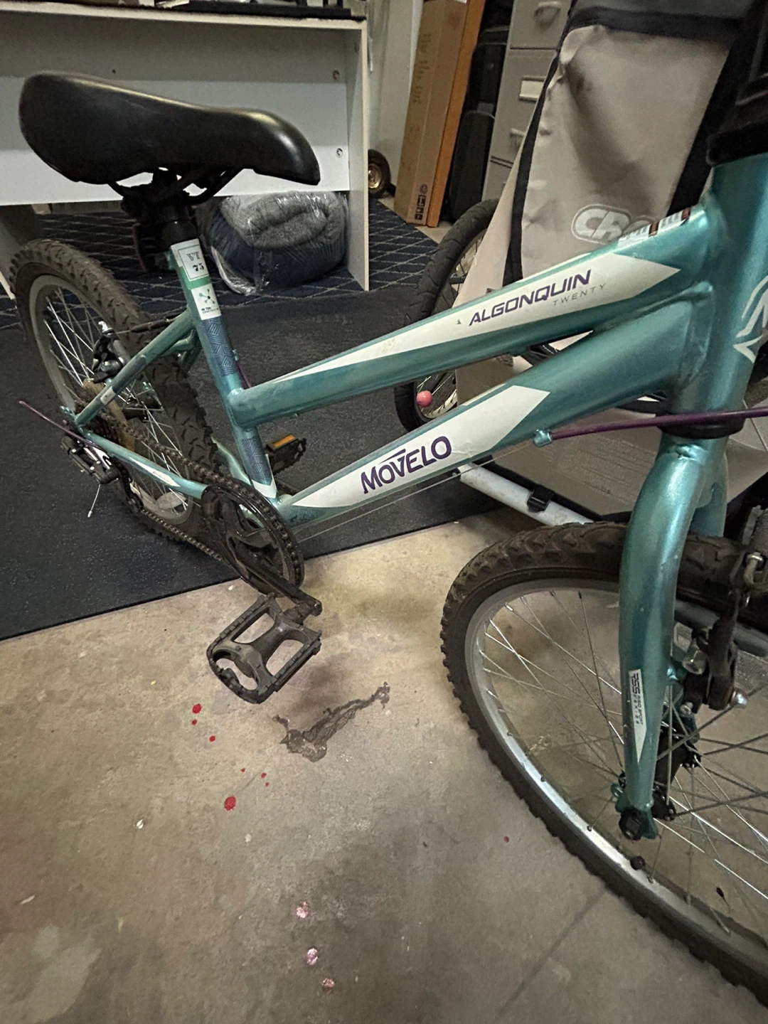 Movelo Algonquin Kids Bike 20”
