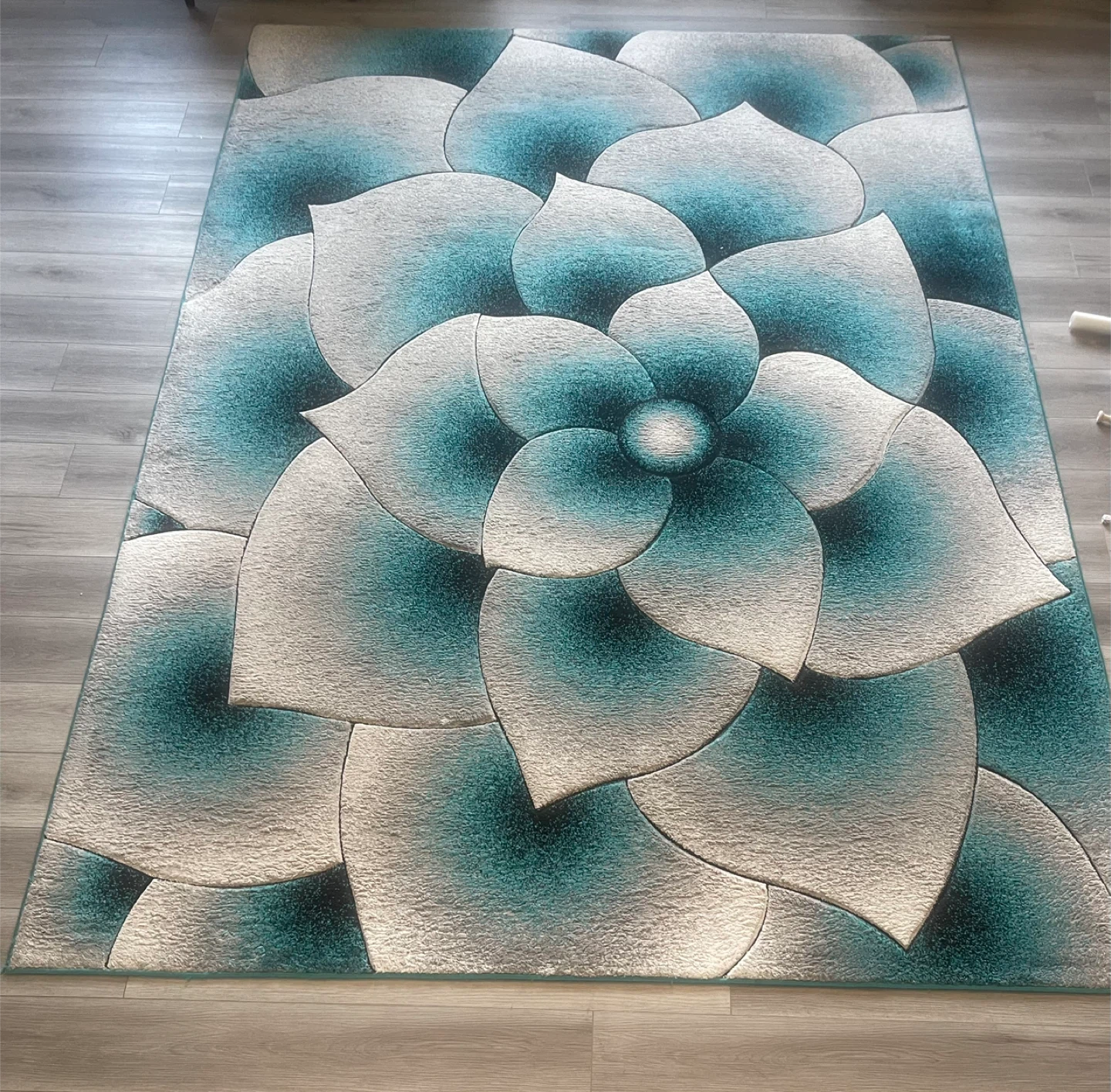 Jewel Turquoise Area Rug (7'9"x10') - photo 2