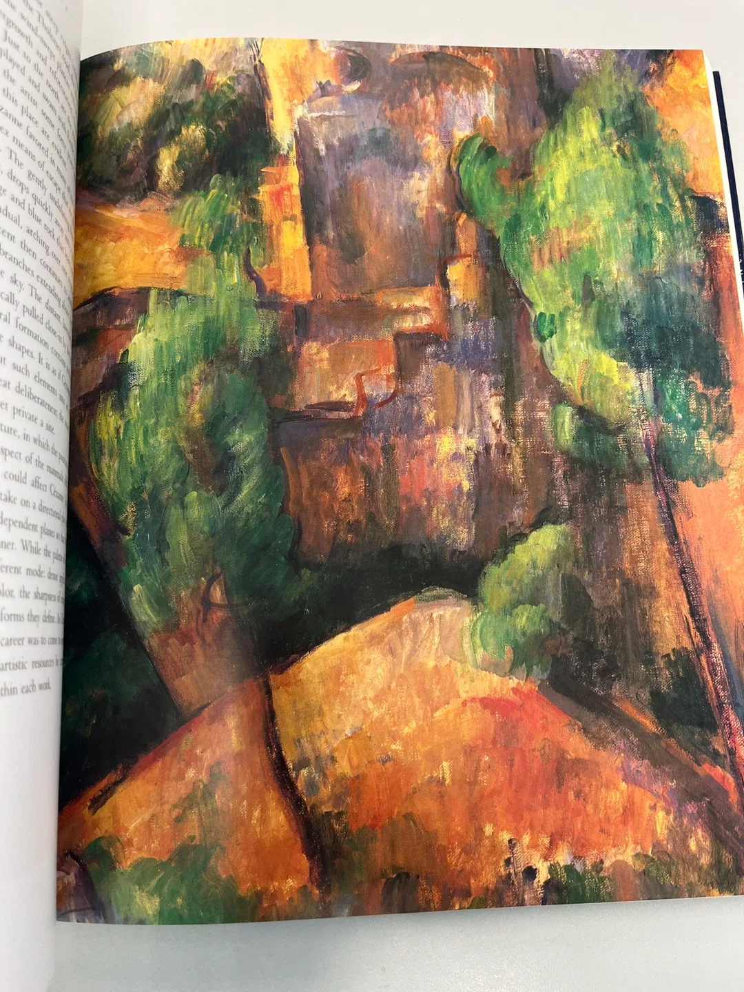 Great French Paintings from the Barnes Foundation Book image indicator(7)