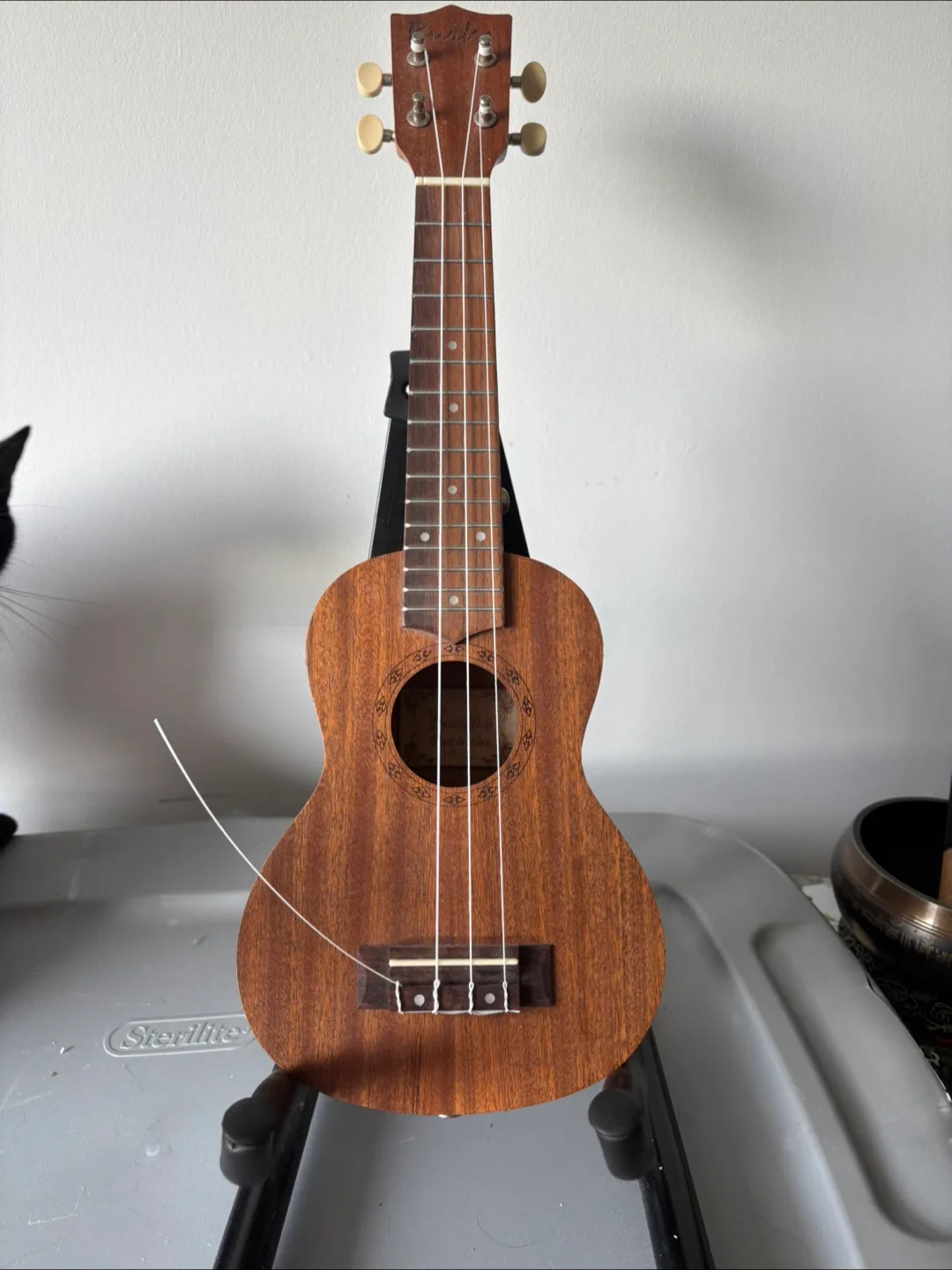 Burks UK-21 Ukulele image indicator(2)