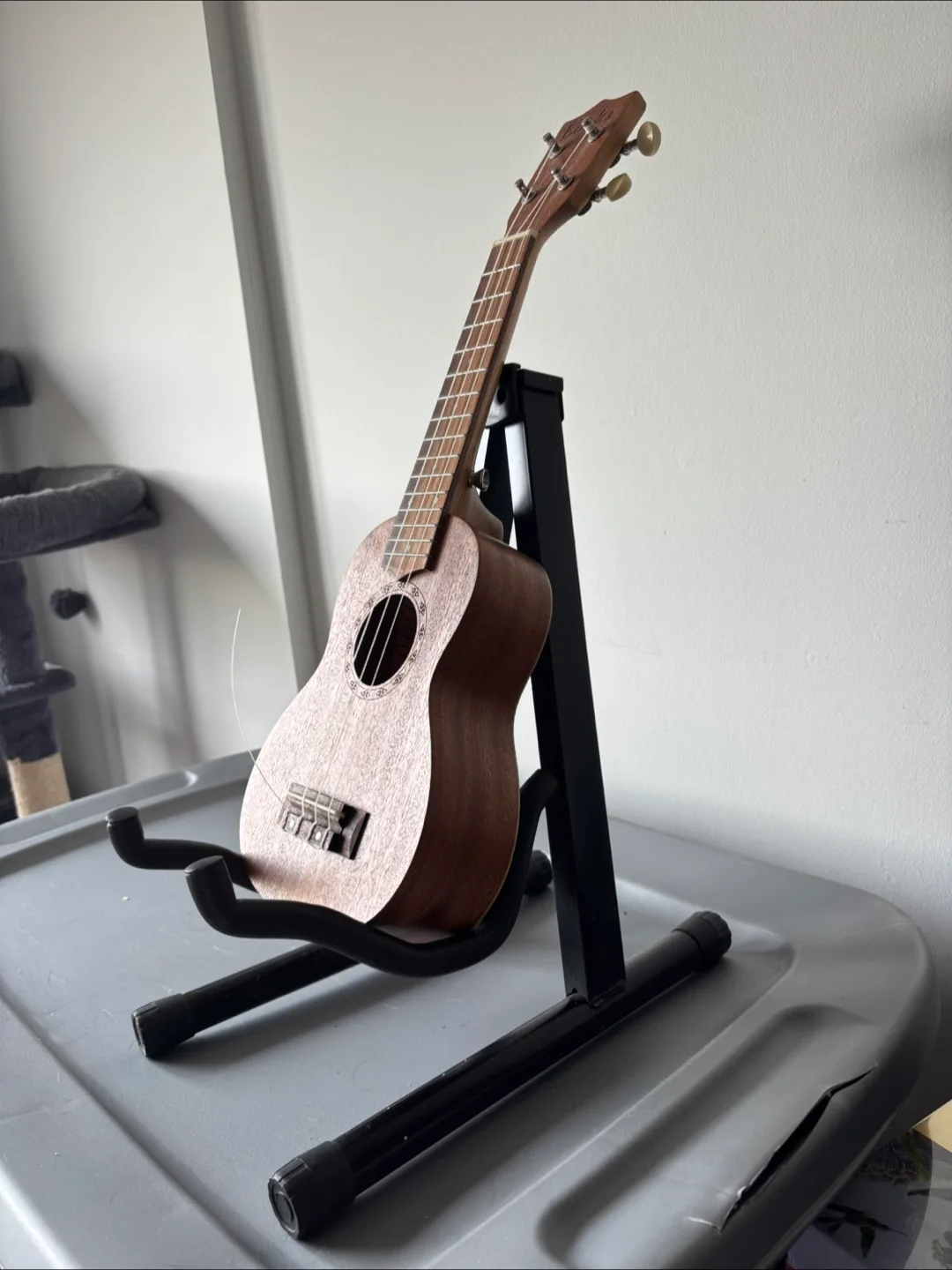 Burks UK-21 Ukulele image indicator(4)