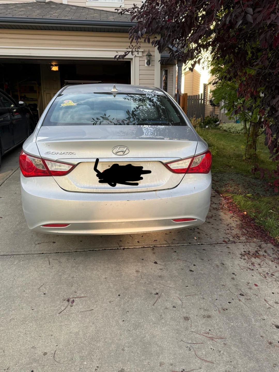 Hyundai Sonata GLS 2013 - photo 2