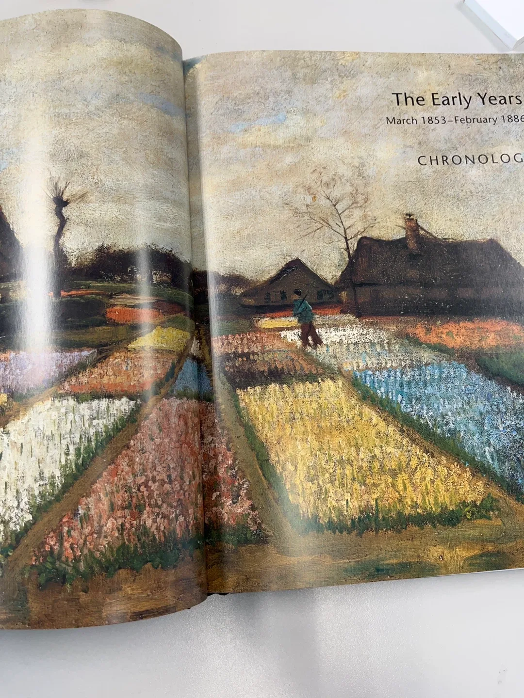 Van Gogh Face to Face: The Portraits image indicator(3)