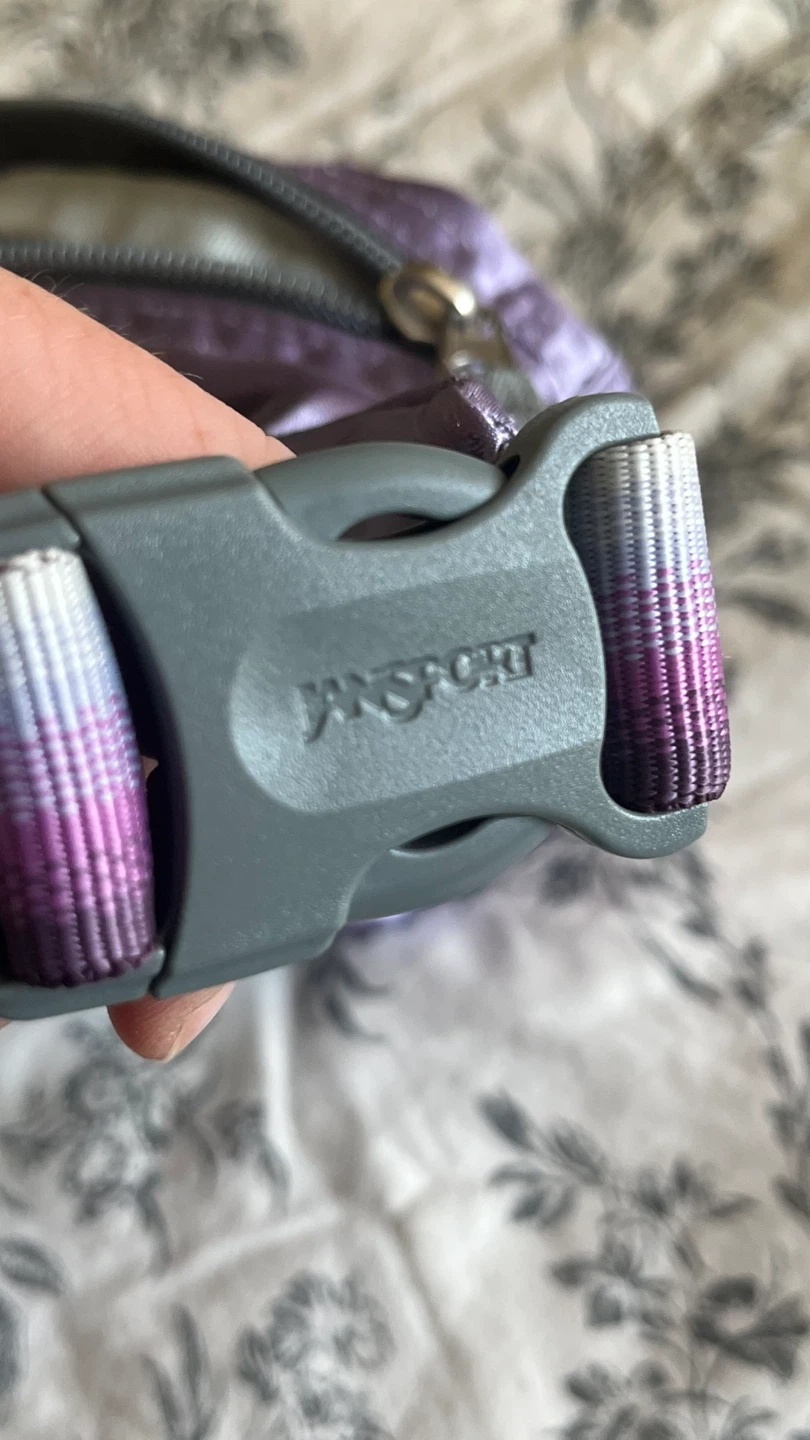Jansport Fifth Avenue FX Purple Belt Bag - photo 4