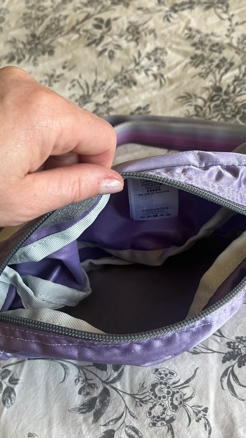 Jansport Fifth Avenue FX Purple Belt Bag - photo 2