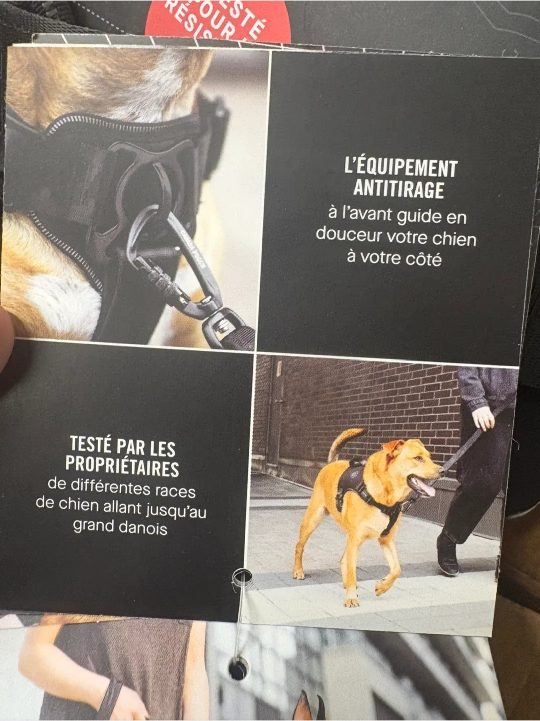 Canada Pooch Complete Control Dog Harness - XL image indicator(5)