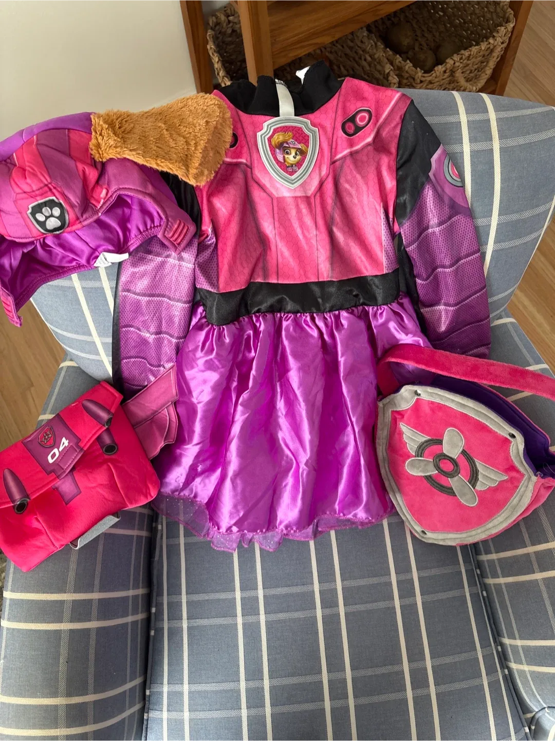 Paw Patrol Skye Costume