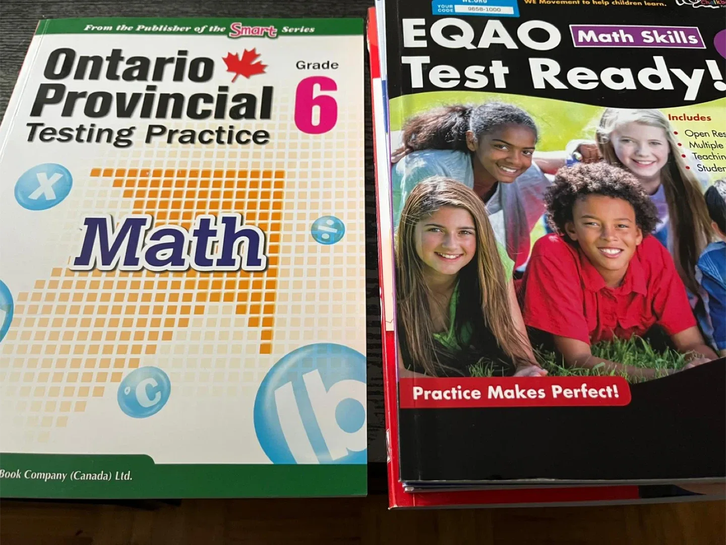 Grade 6 & 7 Workbooks - Complete Curriculum, EQAO, Math image indicator(6)