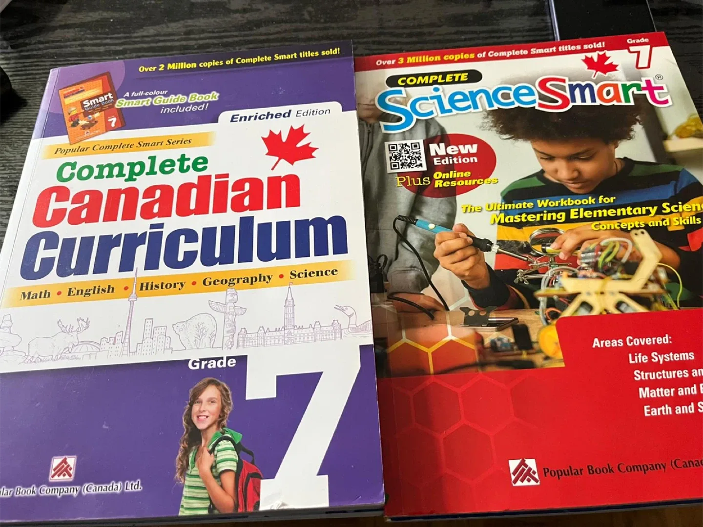Grade 6 & 7 Workbooks - Complete Curriculum, EQAO, Math image indicator(8)