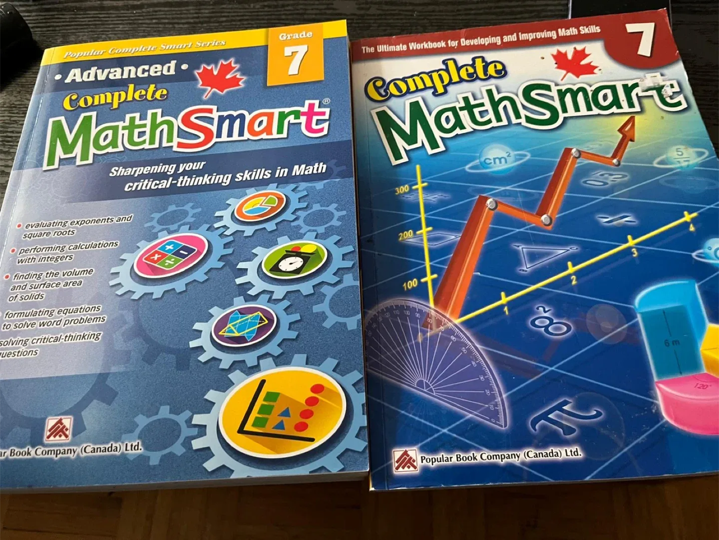 Grade 6 & 7 Workbooks - Complete Curriculum, EQAO, Math image indicator(10)