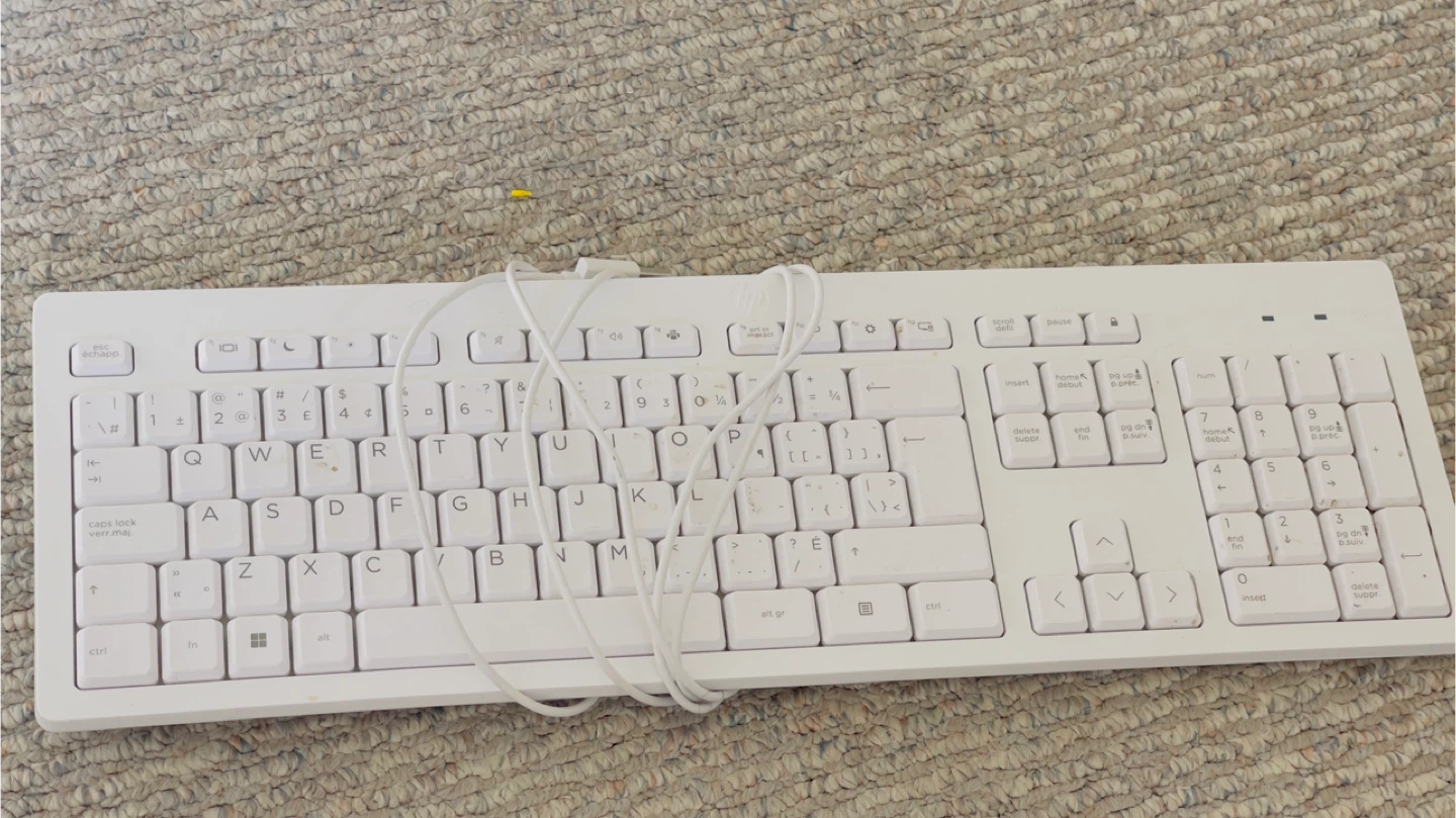 LG 24MR41S-B 24" Monitor & HP White Wired Keyboard - photo 4