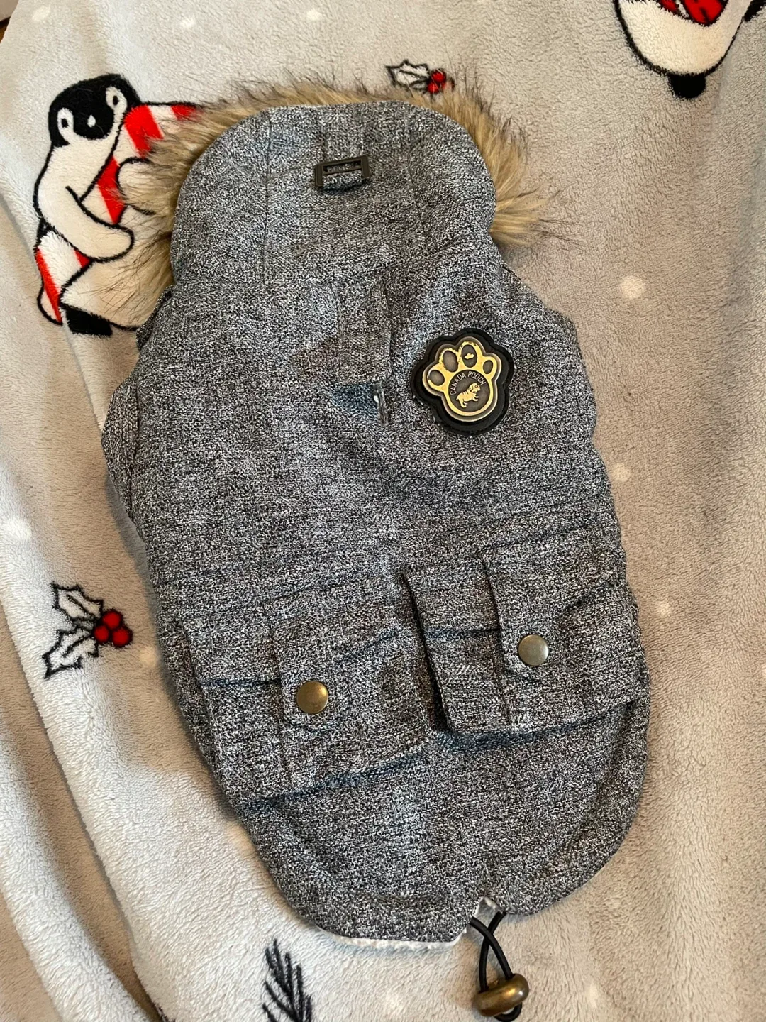 10” (5-8lbs) Canada Pooch Grey Winter Coat thumbnail